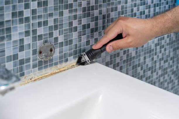 Best Home Mold Removal  in White Oak, TX